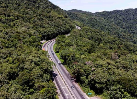 Vista aérea de uma estrada sinuosa cercada por uma densa vegetação verde. Esta imagem ilustra a beleza natural e a tranquilidade da br-277, viaduto dos padres, serra do mar no paraná