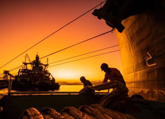 Foto: Claudio Neves/Portos do Paraná