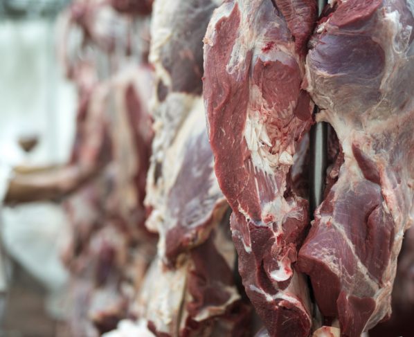 carne bovina