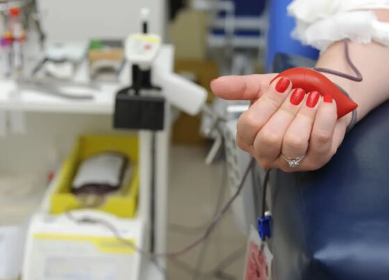 Em Paranaguá, o Hemepar fica localizado na Avenida Gabriel de Lara e funciona de segunda a sexta-feira. / Foto: Venilton Küchler/SESA