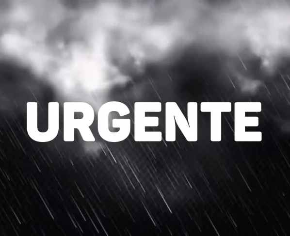 WhatsApp Image 2025 02 08 at 00.40.37