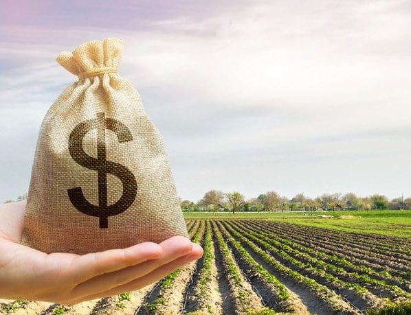 plano safra - , incentivo fiscal do governo