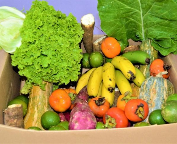 alimentos
