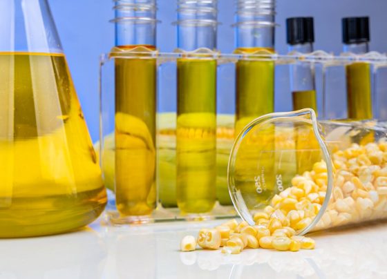 etanol de milho, biocombustível, biocombustíveis