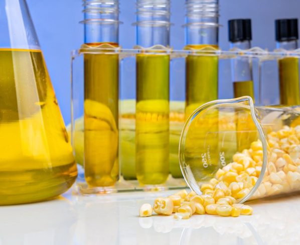 etanol de milho, biocombustível, biocombustíveis