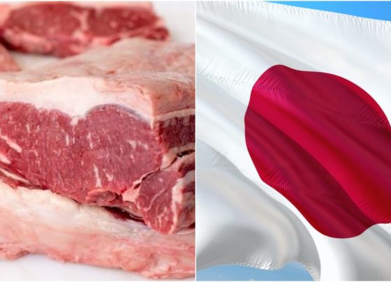 carne bovina Japão