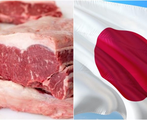 carne bovina Japão