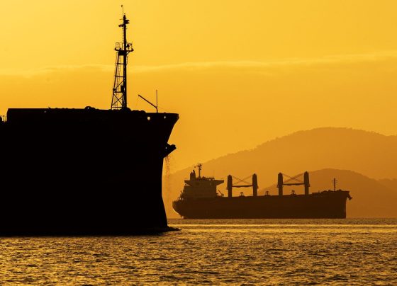 exportação, colágeno, mercados, Canadá, Egito, Mapa, Café, europeia