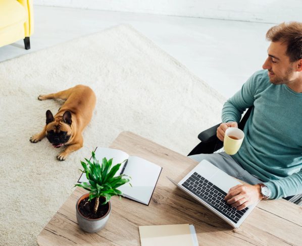 Homem pede indenização após ser mordido pelo cachorro no home office