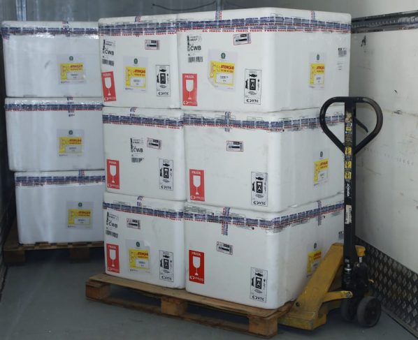 a2e5b91a 5850 4fd0 9072 0718190db0ba 0