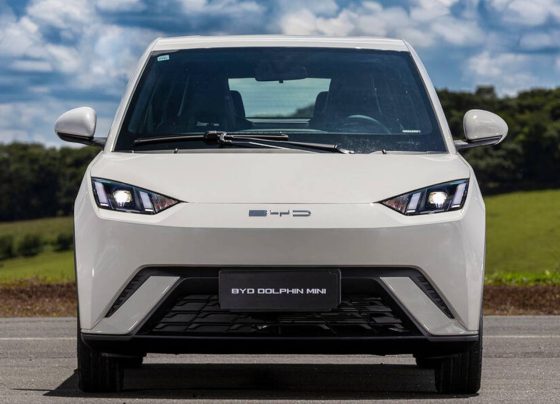 BYD Dolphin Mini