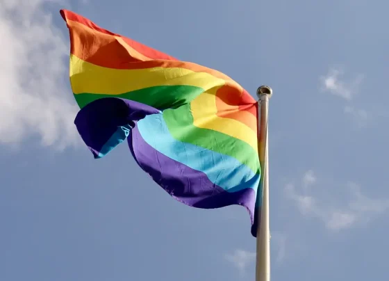 A data marca a resistência, celebra a diversidade, reforça o combate ao preconceito, a luta por direitos, a visibilidade e a igualdade (Foto 1: Lillen/Pixabay)