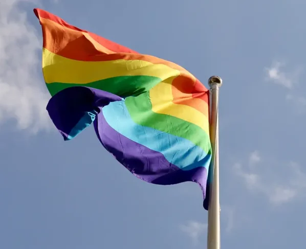 A data marca a resistência, celebra a diversidade, reforça o combate ao preconceito, a luta por direitos, a visibilidade e a igualdade (Foto 1: Lillen/Pixabay)