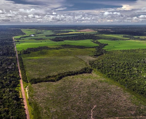 Amazônia Legal