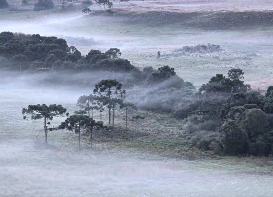 Alerta Inmet para onda de frio até 6°feira, 04. Veja as regiões