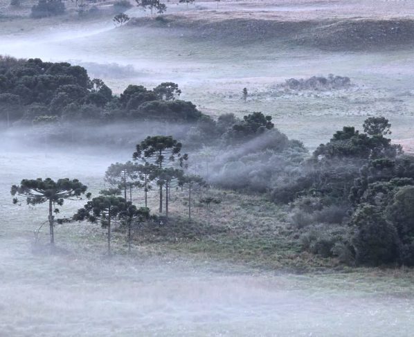 Alerta Inmet para onda de frio até 6°feira, 04. Veja as regiões
