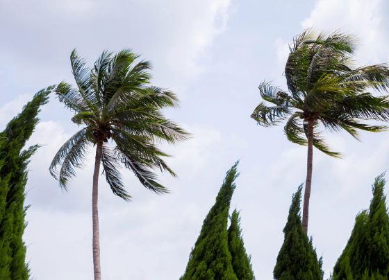 Alerta Inmet para riscos de vendaval nos dias 27 e 28, veja as regiões