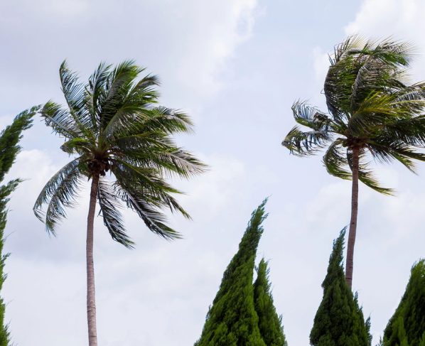 Alerta Inmet para riscos de vendaval nos dias 27 e 28, veja as regiões