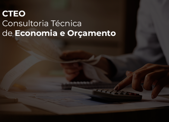 Consultoria Técnica de Economia e Orçamento - arte ilustrativa