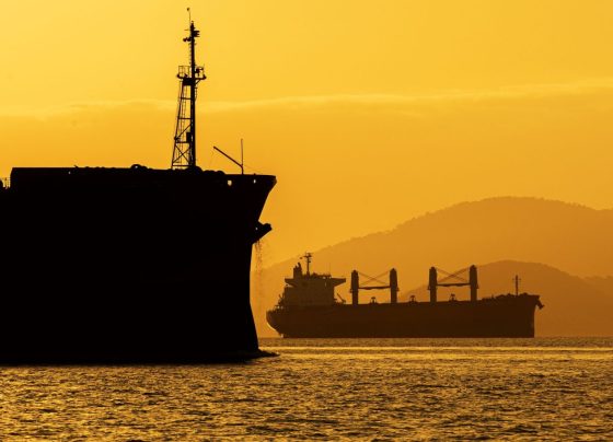 exportação, colágeno, mercados, Canadá, Egito, Mapa, Café, europeia