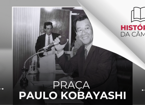 Arte da série Histórias da Câmara sobre a Praça Paulo Kobayashi