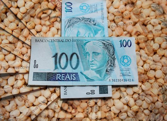 mercado-da-soja-dinheiro-um