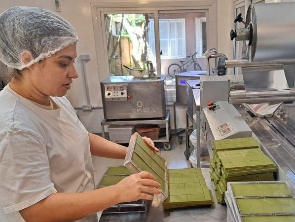 Versatilidade da erva-mate ganha espaço na indústria do Rio Grande do Sul