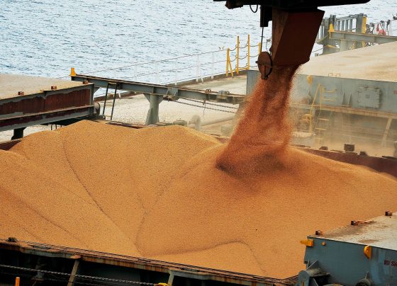 soja, porto, exportação, embarque, exportações, grãos