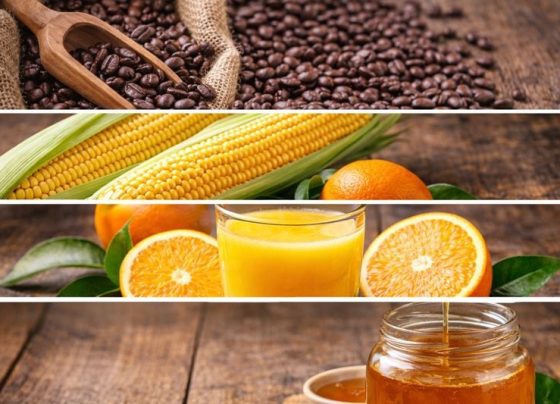 Café, milho, laranja e mel