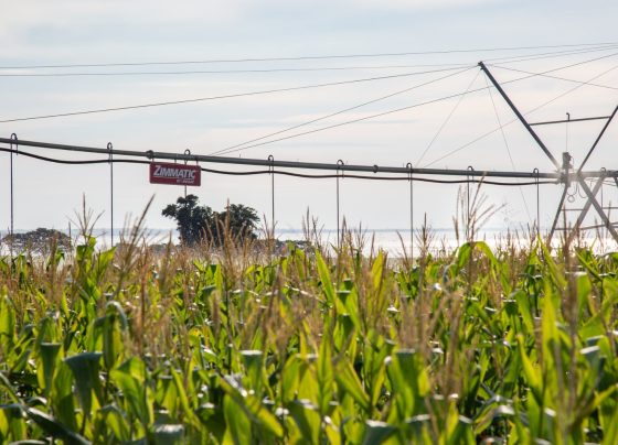 pivô de irrigação