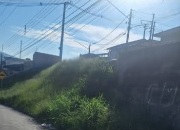 Mato alto em terreno localizado na área central da cidade que é turística e mostra pouco caso . Imagem: Denúncia anônimo