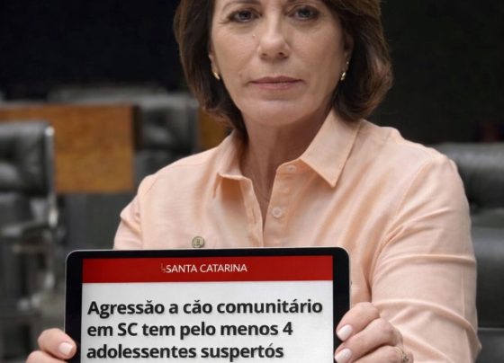 Agora, a matéria será analisada diretamente em Plenário, sem precisar passar pelas Comissões temáticas. Foto: divulgação