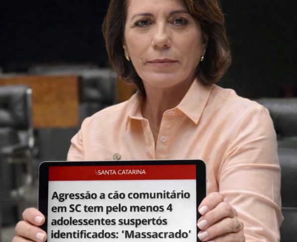 Agora, a matéria será analisada diretamente em Plenário, sem precisar passar pelas Comissões temáticas. Foto: divulgação