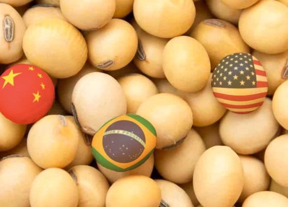 mercado da soja mundo preço