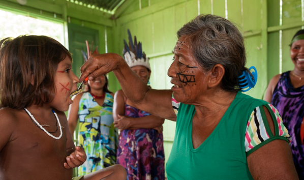 Saúde indigena edit.png