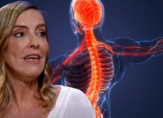 No trabalho associado à Dra. Tatiana, a polilaminina é estudada como uma matriz de apoio capaz de mimetizar condições naturais do organismo. Produção Impresso Brasil