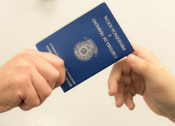 carteira de trabalho, emprego, IBGE