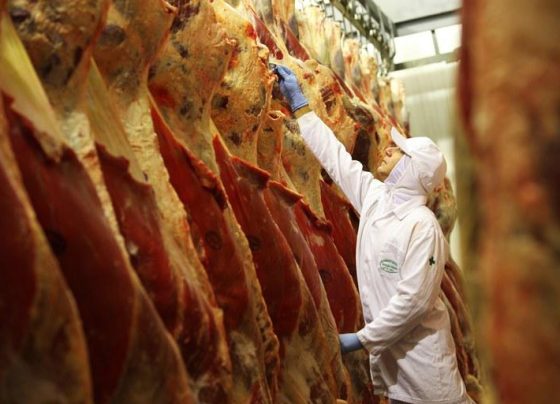 abate, carne bovina, frigoríficos, carnes - abates