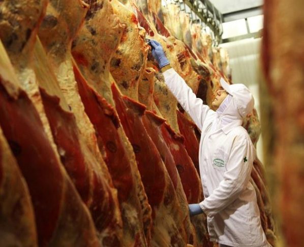 abate, carne bovina, frigoríficos, carnes - abates