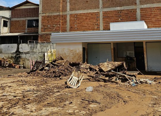 Temporais provocam perdas em propriedades rurais da zona da mata mineira