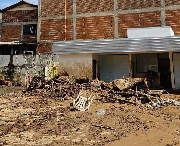 Temporais provocam perdas em propriedades rurais da zona da mata mineira