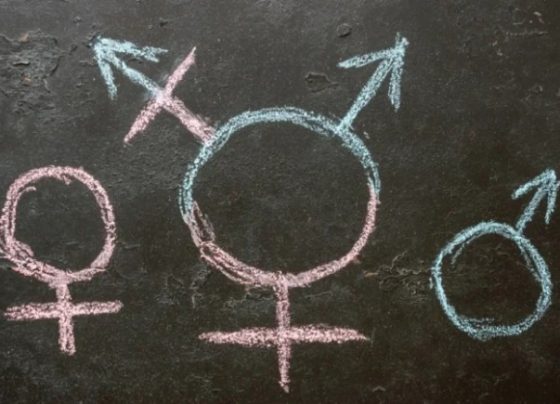 Ideologia trans (Foto: Reprodução)