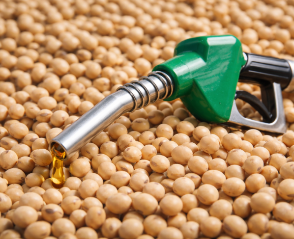 Biodiesel e soja