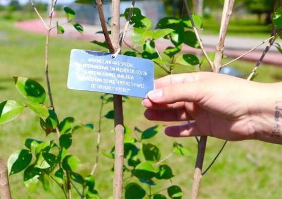 ‘Árvore FamiliAR’ promove plantio de 50 pitangueiras em edição de homenagem ao Dia da Mulher