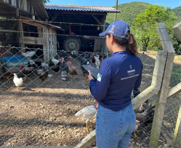 Durante a operação, além das inspeções, foram promovidas atividades de educação sanitária (Foto: Adapar)
