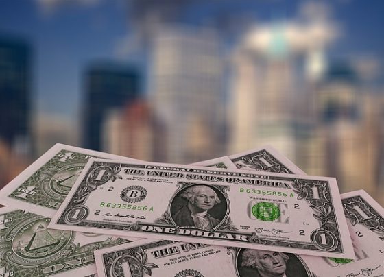 dólar Salário Necessário para Viver eua