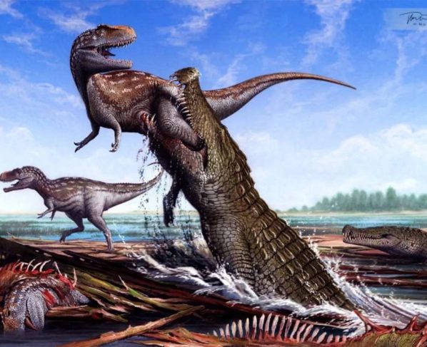 Deinosuchus schwimmeri