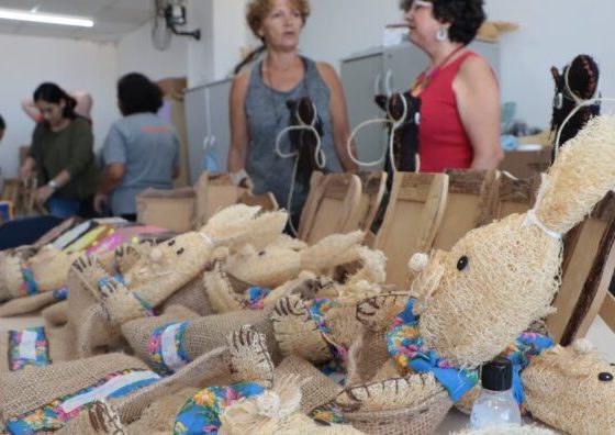 Desenvolvimento Econômico promove cursos gratuitos de capacitação para artesãos
