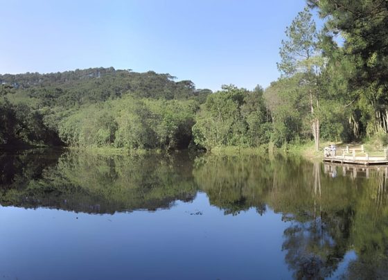 A imagem mostra a Lagoa das Carpas e toda a sua tranquilidade