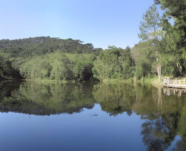 A imagem mostra a Lagoa das Carpas e toda a sua tranquilidade